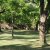 campingyuste (11)